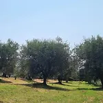 Gli Ulivi Di Siena