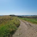 Gli Ulivi Di Siena