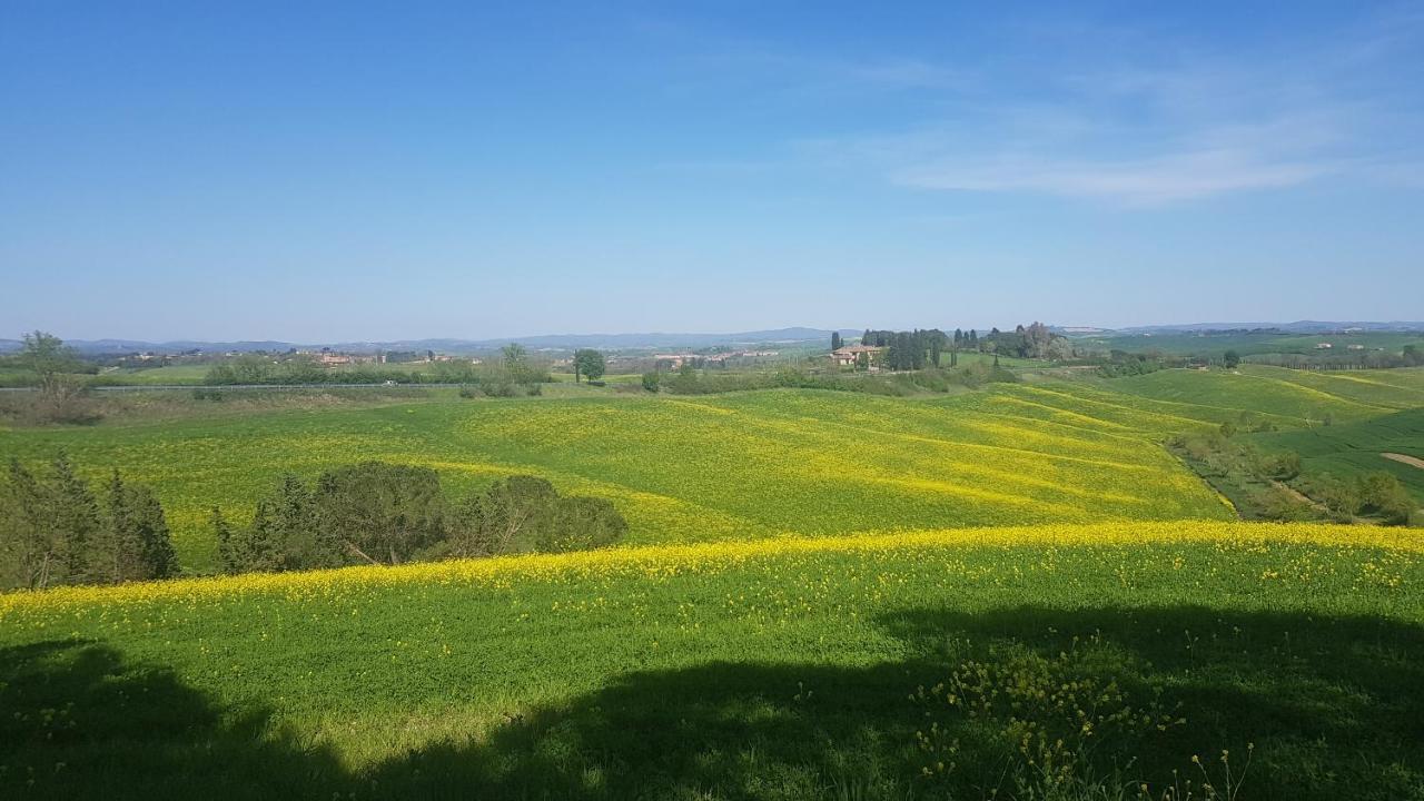 Gli Ulivi Di Casa vacanze Siena