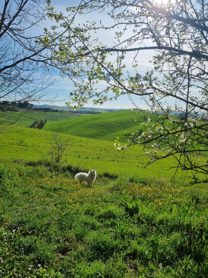 Casa vacanze Gli Ulivi Di *