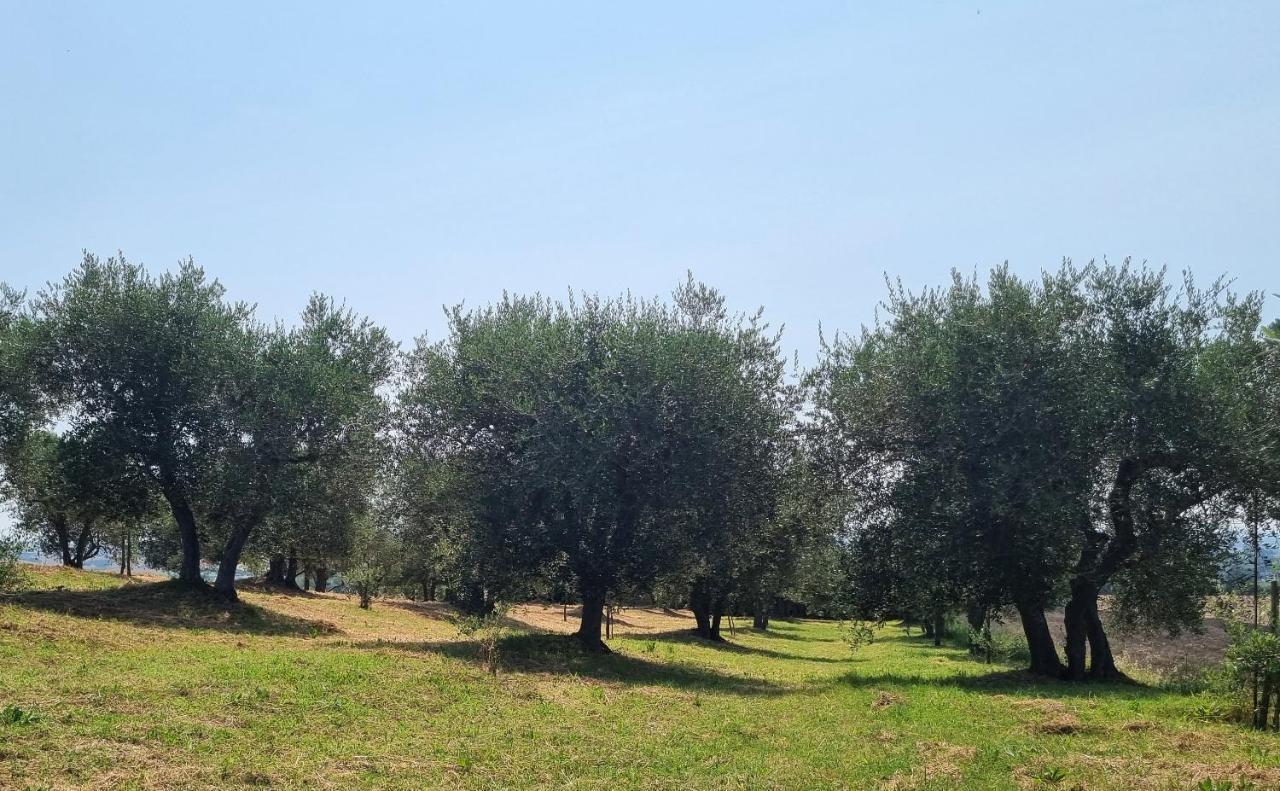 Casa vacanze Gli Ulivi Di