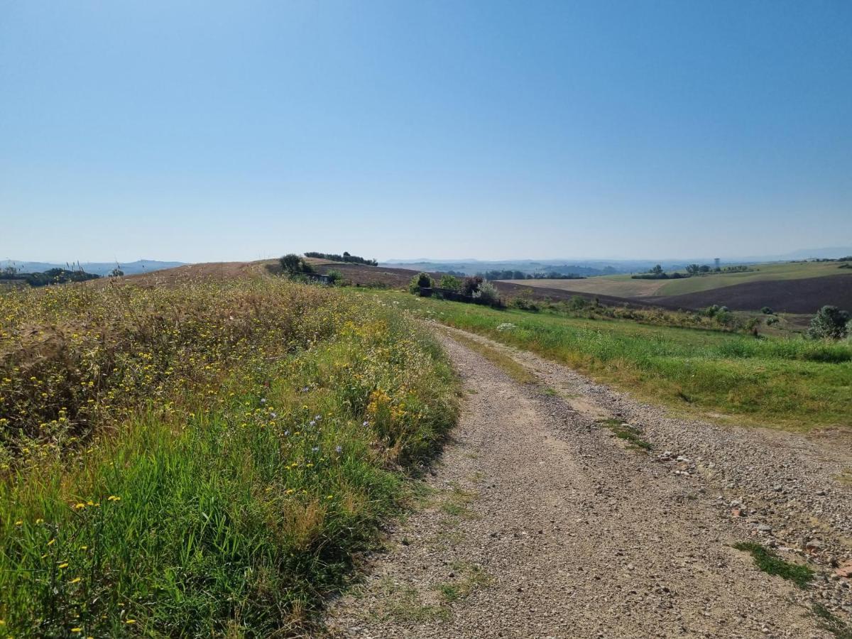Gli Ulivi Di Casa vacanze *